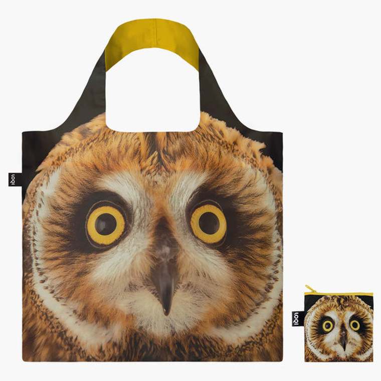 Tote Owl National Geographic