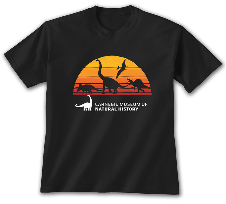 Black tee sunset back ground with assorted dinosaur silhouette .