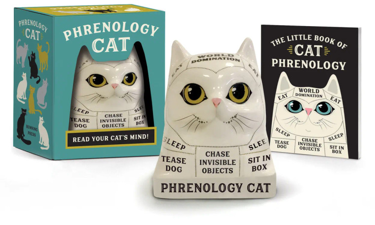Mini Phrenology Cat