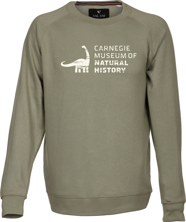 Adult muted green sweatshirt with distressed Dippy CMNH logo in ivory print.