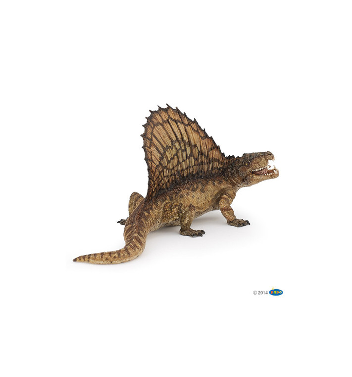 Dimetrodon