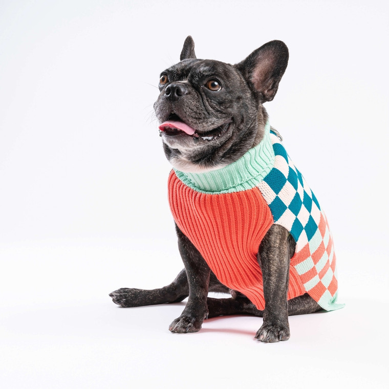 Checkerboard Dog Sweater