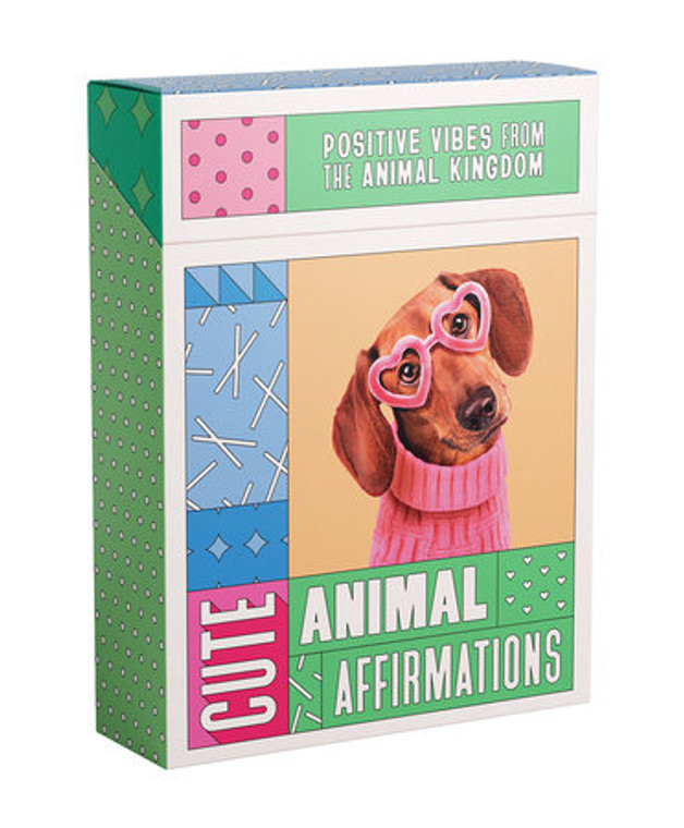 Colorful box featuring dog in pink sweater and heart-shaped sunglasses.