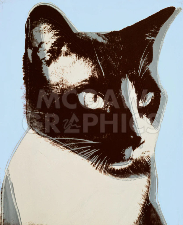 Warhol Black & White Cat