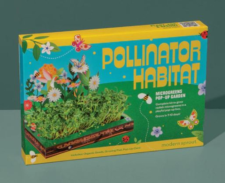 A boxed pop-up plant kit with pollinating plants