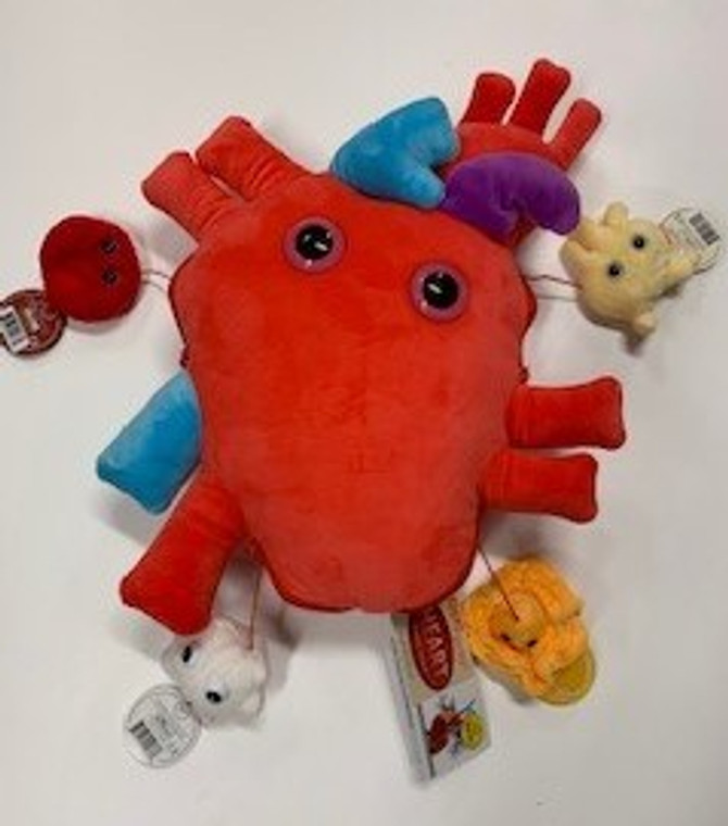 This image shows a plush red heart with different mini cells within zipper pockets.