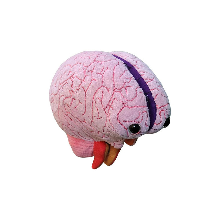 A plush brain with a buttoned seam down the middle