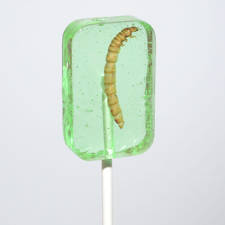 light green apple flavor lollipop with meal worm encased inside
