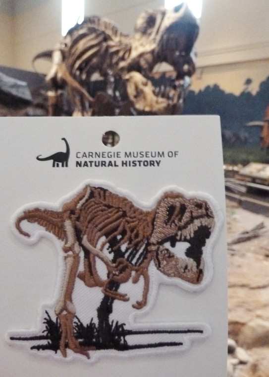 A photo of the patch in front of CM 9390. Features a colored illustration of the CM 9380 Tyrannosaurus skeleton roaring over a patch of black foliage. White background and border.
