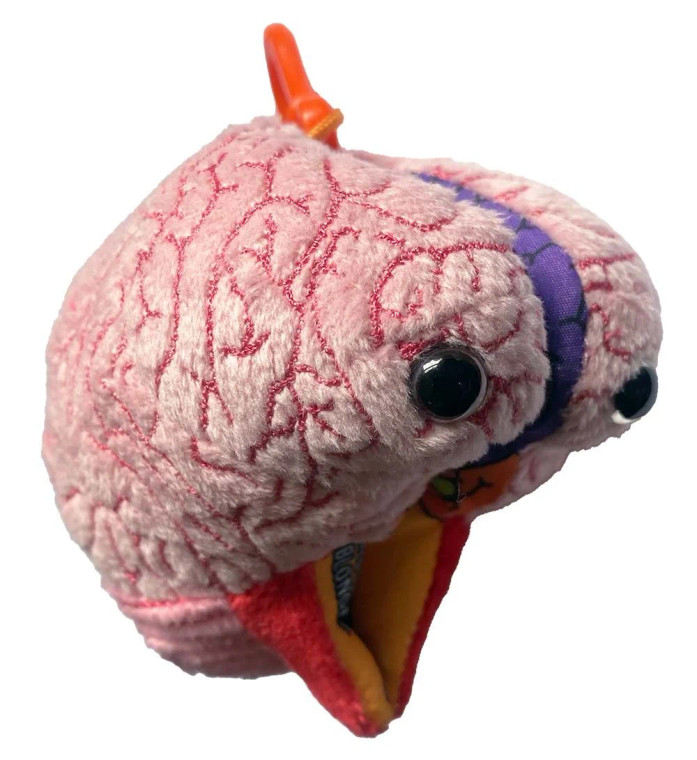 A plush brain keychain with eyes