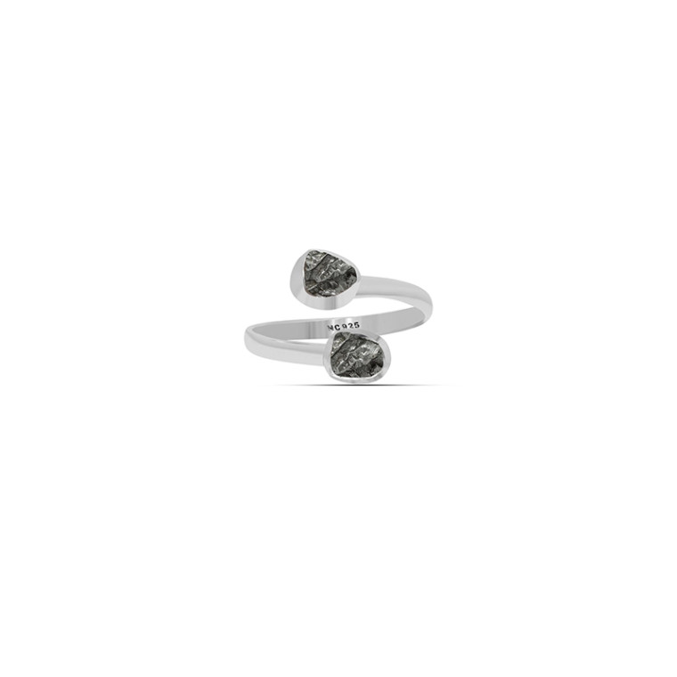 A bypass ring featuring two meteorites set in sterling silver