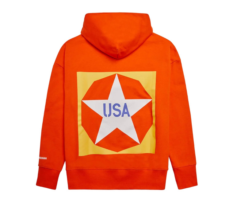 Orange hoodie, back view featuring large graphic of a White star that reads "USA" inside of an orange circle.