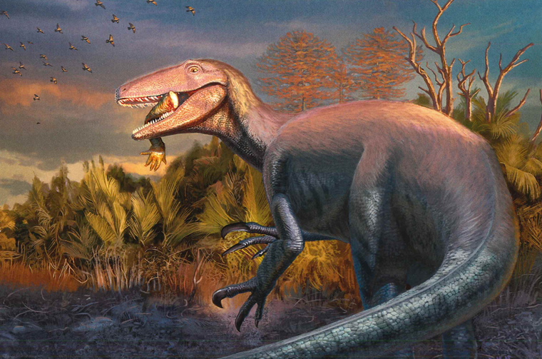 Joaquinraptor CMNH Postcard