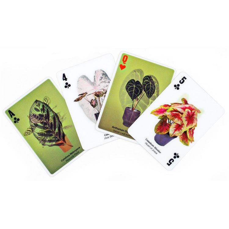 3-D Plant Playing Cards
