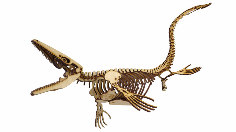 Mosasaurus 3D Accurate Scale Model Kit