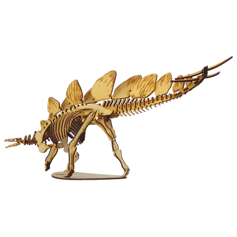 Stegosaurus 3D Accurate Scale Model Kit