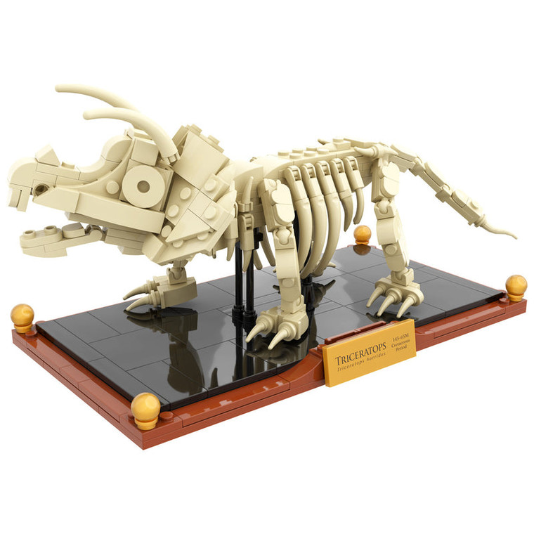Triceratops Fossil Brick Set