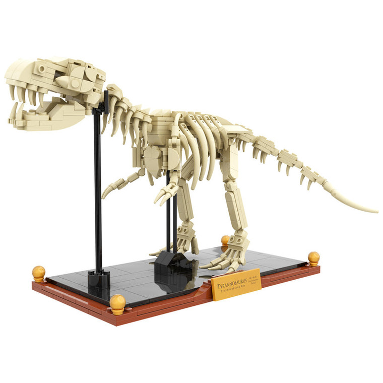 Tyrannosaurus rex Fossil Brick Set