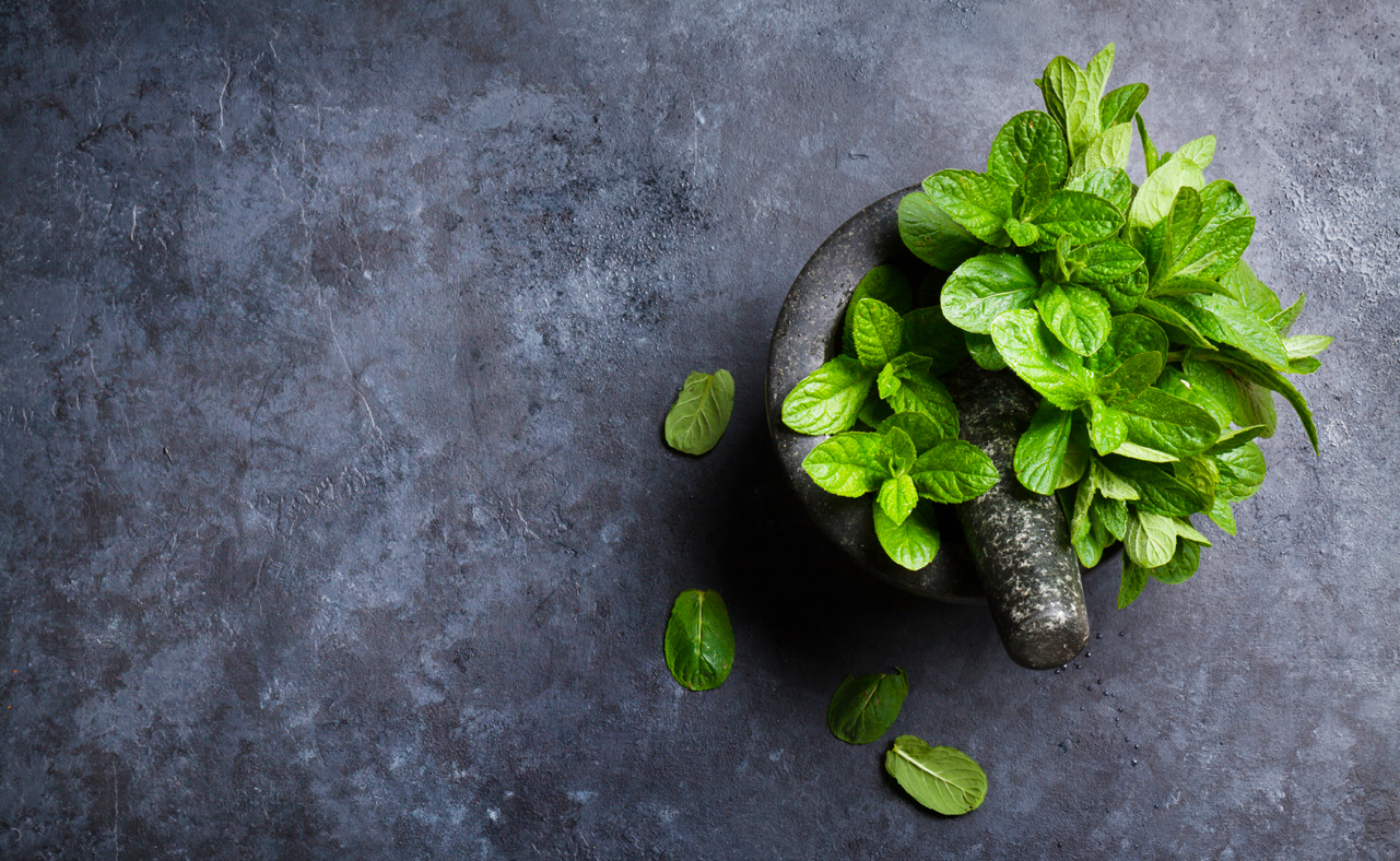 Mint Flavor Variations ChapStick
