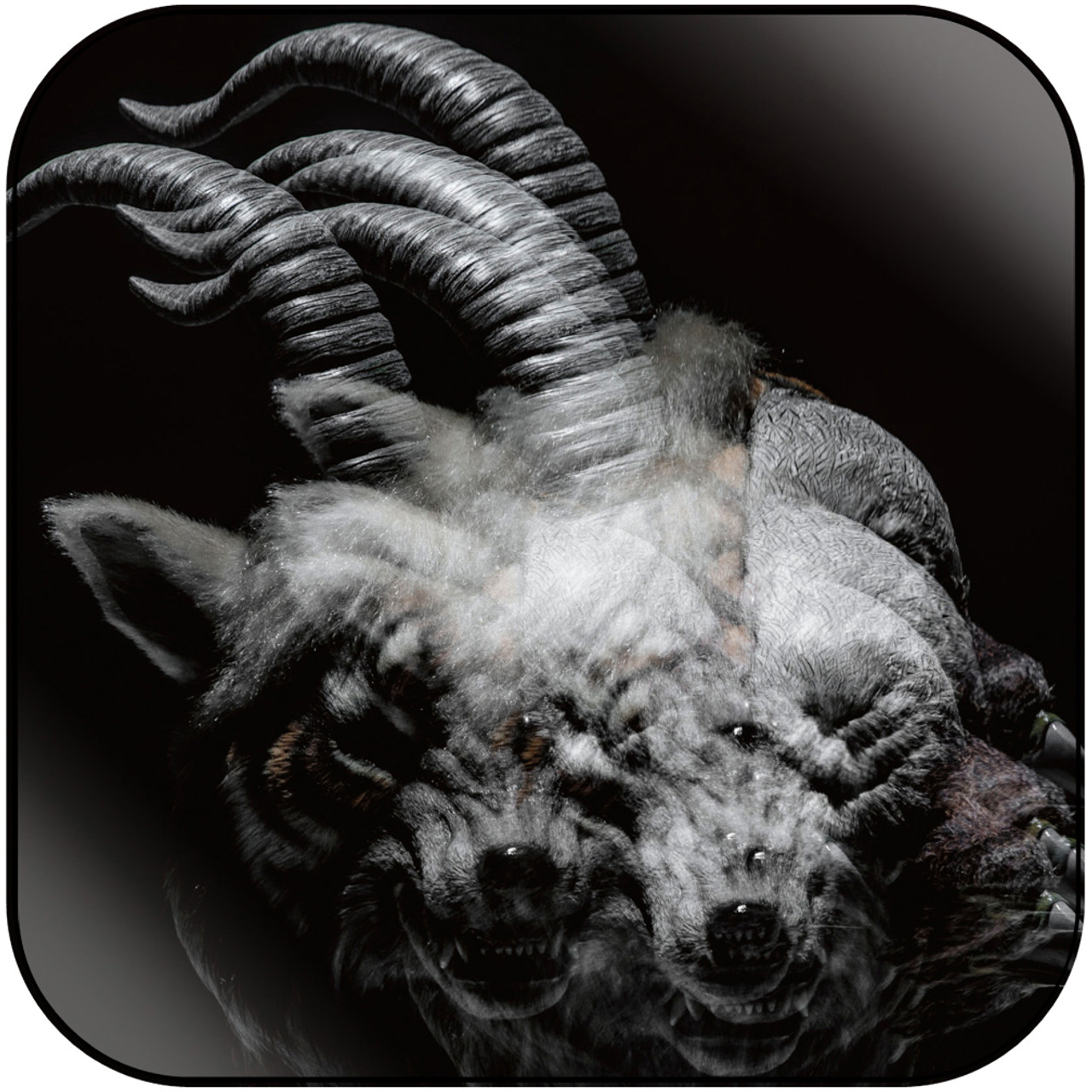the GazettE BEAUTIFUL DEFORMITY アルバム