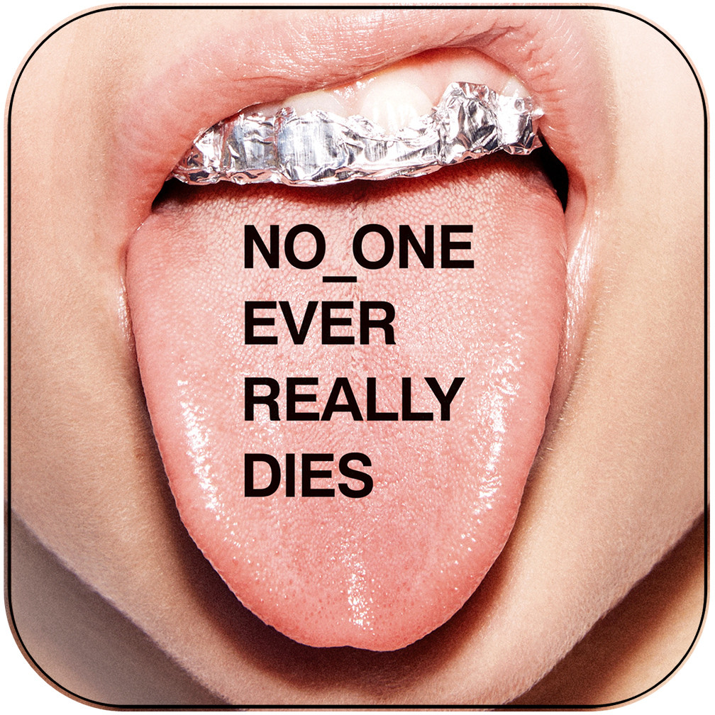 N.E.R.D NO_ONE EVER REALLY DIES 正規 ステッカー N.E.R.D No One Ever Really Dies Album Cover Sticker