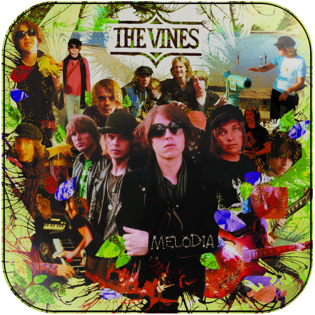 The Vines Melodia Album Cover Sticker