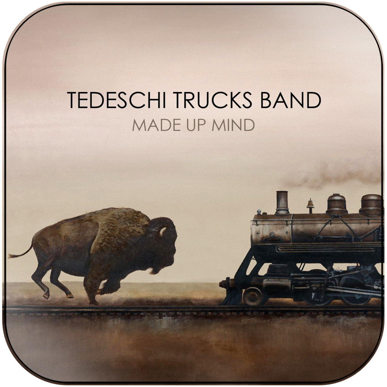 Tedeschi Trucks Band Made Up Mind Album Cover Sticker 