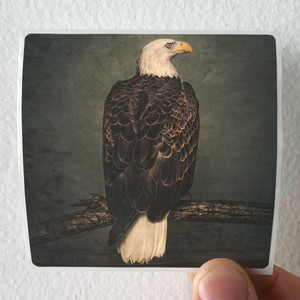 Clutch-Book-Of-Bad-Decisions-1-Album-Cover-Sticker