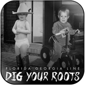 Florida Georgia Line Dig Your Roots Album Cover Sticker
