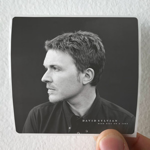 David-Sylvian-Dead-Bees-On-A-Cake-Album-Cover-Sticker David-Sylvian-Dead-Bees-On-A-Cake-Album-Cover-Sticker