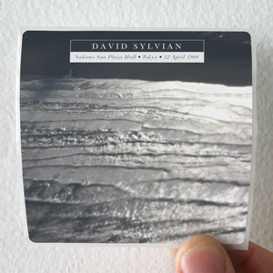 David-Sylvian-In-Praise-Of-Shamans-1-Album-Cover-Sticker David-Sylvian-In-Praise-Of-Shamans-1-Album-Cover-Sticker