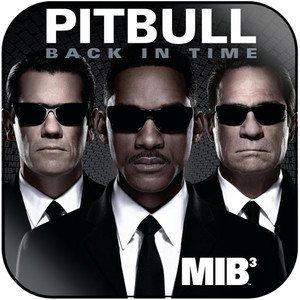 Pitbull Back In Time Album Cover Sticker Album Cover Sticker