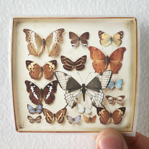 Emiliana Torrini Rarities Album Cover Sticker