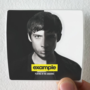 Example Playing In The Shadows Album Cover Sticker Example Playing In The Shadows Album Cover Sticker