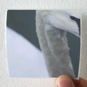 Echoes The Pursuit 1 Album Cover Sticker Echoes The Pursuit 1 Album Cover Sticker