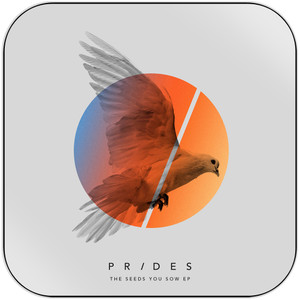 Prides The Seeds You Sow Ep Album Cover Sticker Album Cover Sticker Prides The Seeds You Sow Ep Album Cover Sticker Album Cover Sticker