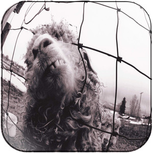 Pearl Jam VS Album Cover Sticker