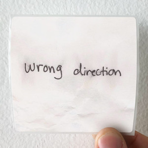 Hailee Steinfeld Wrong Direction Album Cover Sticker