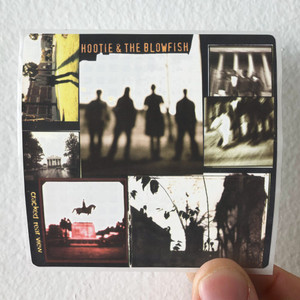 Hootie and The Blowfish Cracked Rear View Album Cover Sticker Hootie and The Blowfish Cracked Rear View Album Cover Sticker