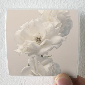 Imminence Turn The Light On Acoustic Reimagination Album Cover Sticker