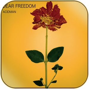 ACIDMAN Dear Freedom Album Cover Sticker Album Cover Sticker ACIDMAN Dear Freedom Album Cover Sticker Album Cover Sticker