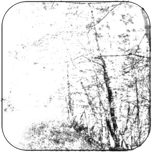Agalloch The White Ep Album Cover Sticker Album Cover Sticker Agalloch The White Ep Album Cover Sticker Album Cover Sticker