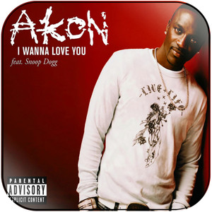 Akon I Wanna Love You Album Cover Sticker Album Cover Sticker