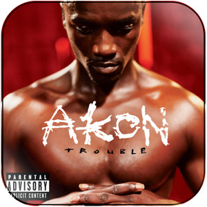 Akon Trouble-1 Album Cover Sticker Album Cover Sticker