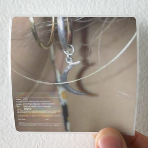 LANY I Dont Wanna Love You Anymore 1 Album Cover Sticker LANY I Dont Wanna Love You Anymore 1 Album Cover Sticker