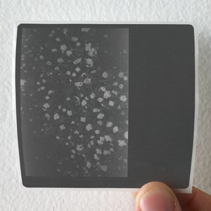 Motorama Poverty Album Cover Sticker Motorama Poverty Album Cover Sticker