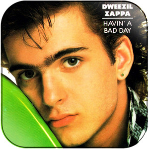 Dweezil Zappa Havin A Bad Day Album Cover Sticker