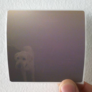 Oneohtrix Point Never Dog In The Fog Album Cover Sticker
