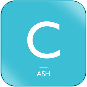 Ash Arcadia Album Cover Sticker Album Cover Sticker Ash Arcadia Album Cover Sticker Album Cover Sticker