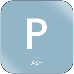 Ash Insects Album Cover Sticker Album Cover Sticker